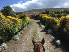 Ecuador-Haciendas-Cotopaxi Getaway